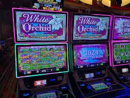 o9o9 Slot dengan Ribuan Kombinasi di Ujung Jari Anda